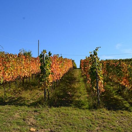 Agriturismo Costa Dei Platani Акуи Терме Екстериор снимка