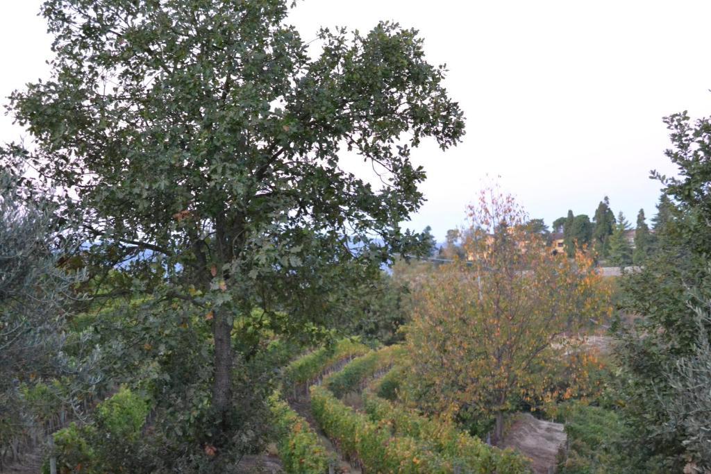 Agriturismo Costa Dei Platani Акуи Терме Екстериор снимка