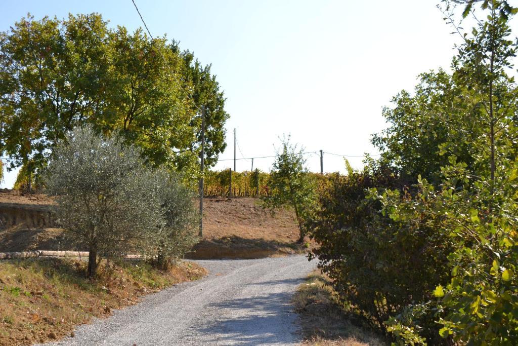 Agriturismo Costa Dei Platani Акуи Терме Екстериор снимка