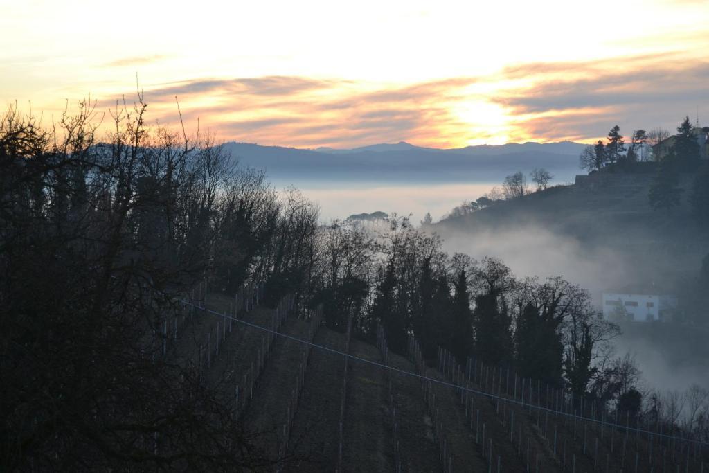 Agriturismo Costa Dei Platani Акуи Терме Екстериор снимка