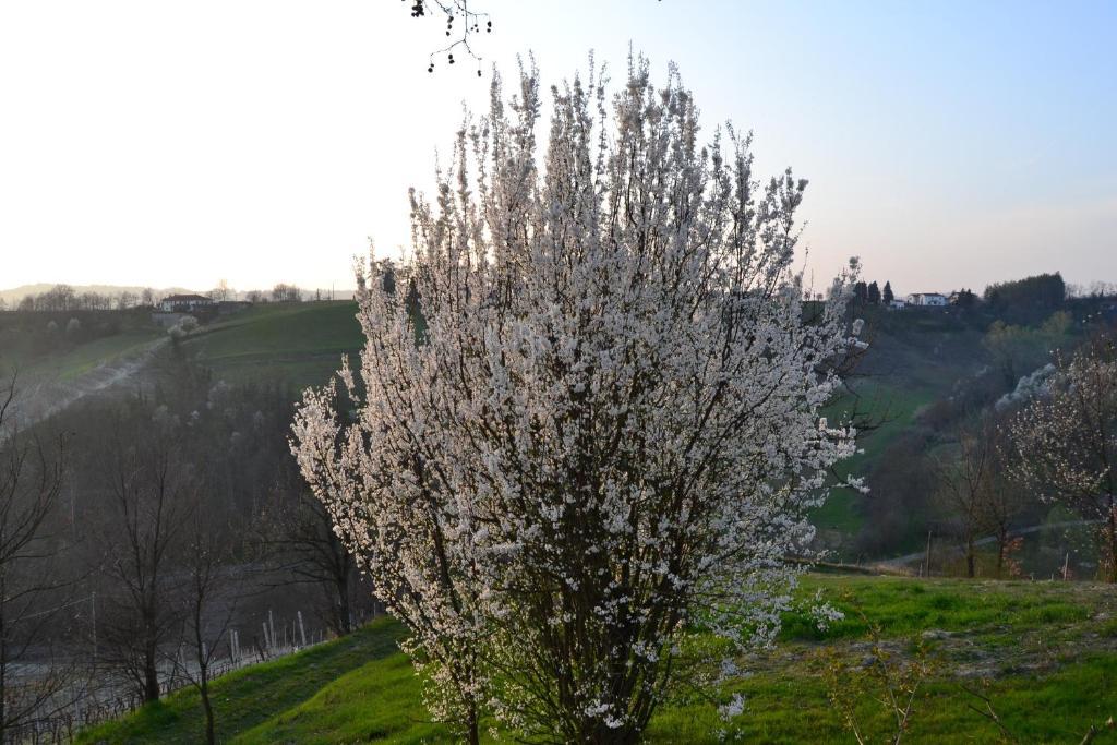 Agriturismo Costa Dei Platani Акуи Терме Екстериор снимка