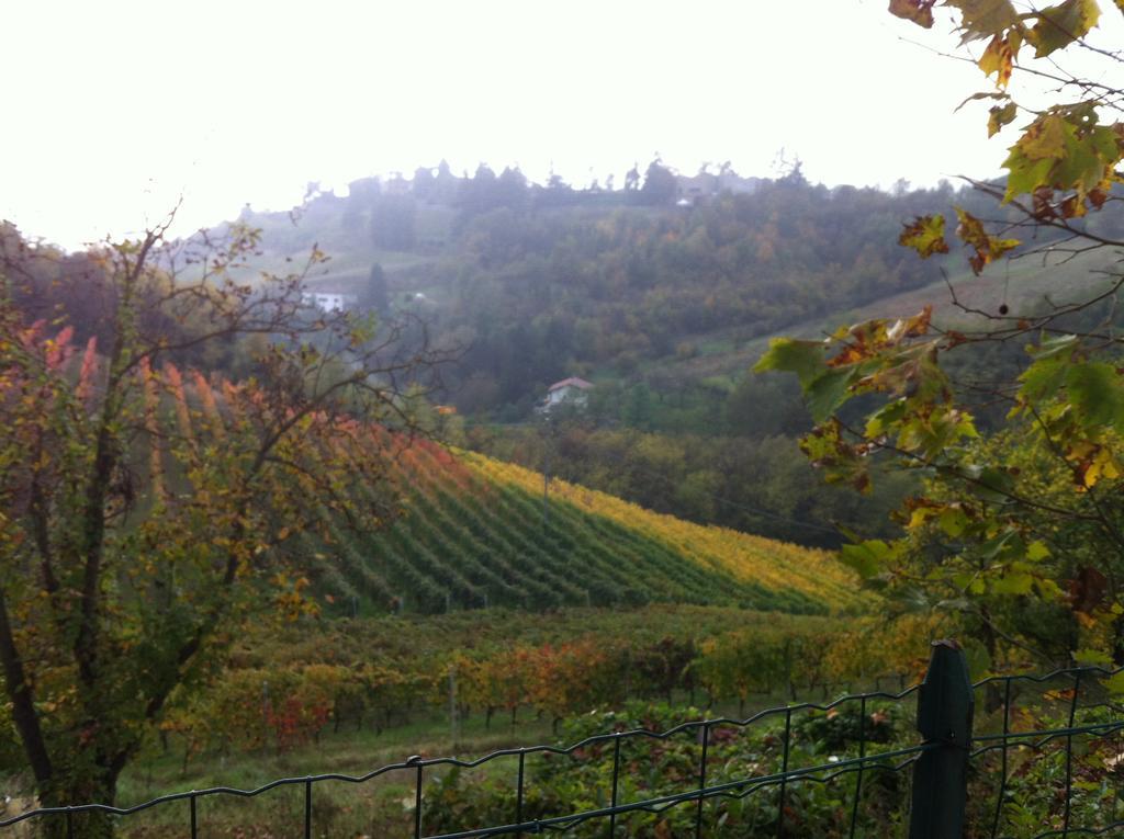 Agriturismo Costa Dei Platani Акуи Терме Екстериор снимка