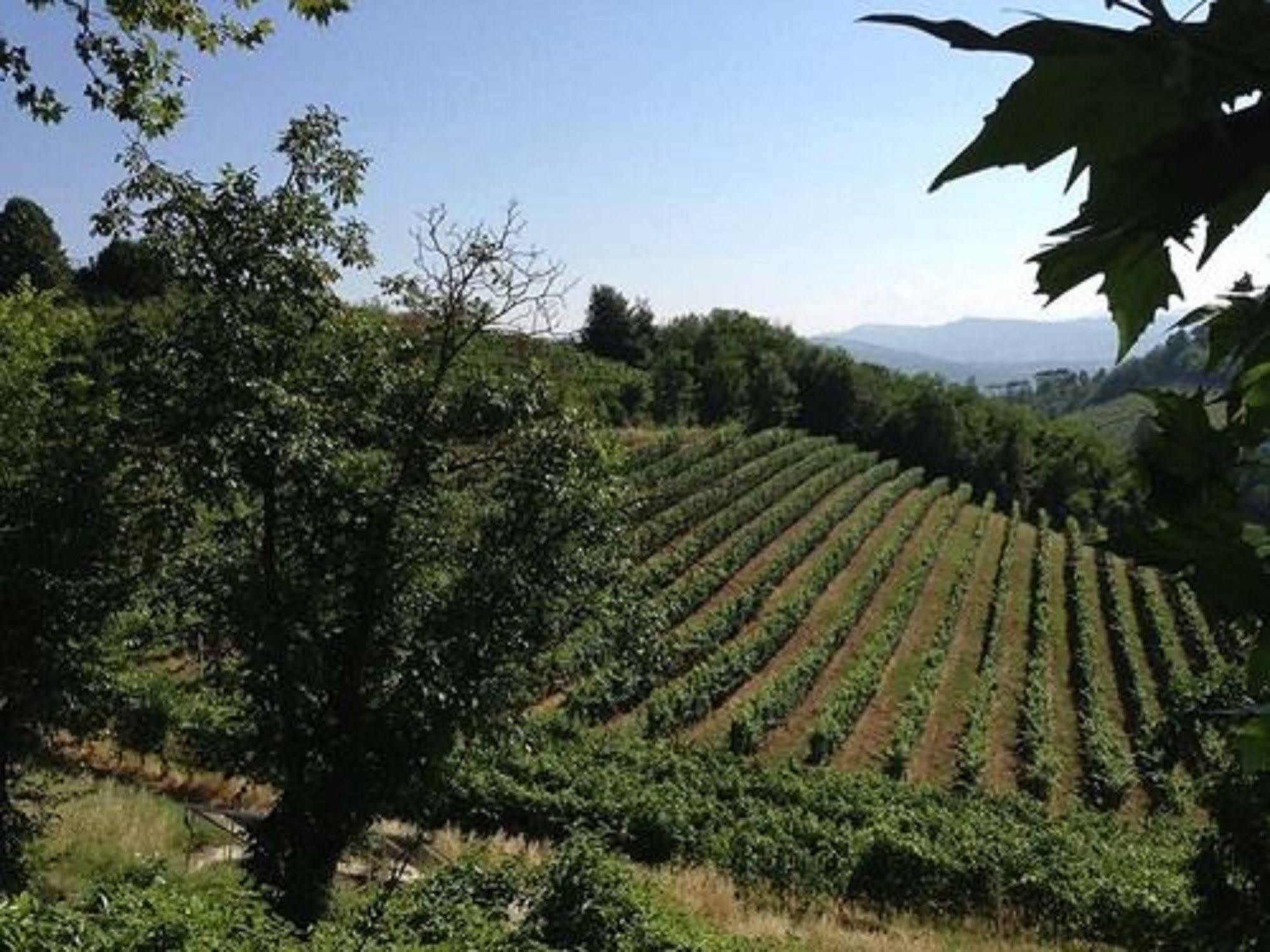 Agriturismo Costa Dei Platani Акуи Терме Екстериор снимка