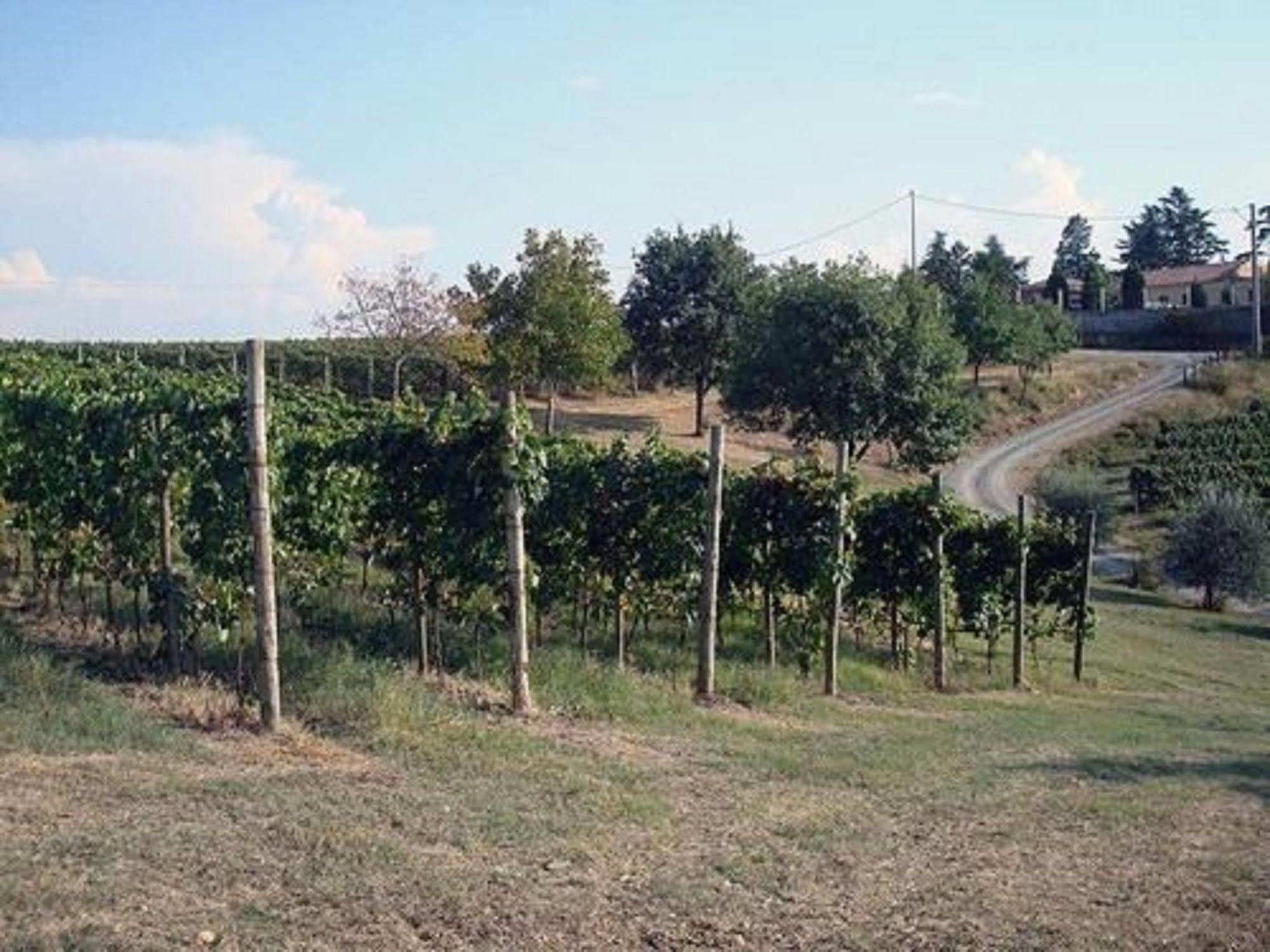 Agriturismo Costa Dei Platani Акуи Терме Екстериор снимка