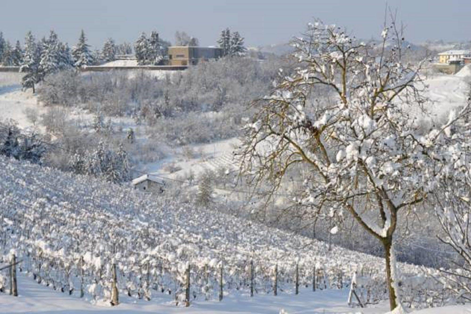 Agriturismo Costa Dei Platani Акуи Терме Екстериор снимка