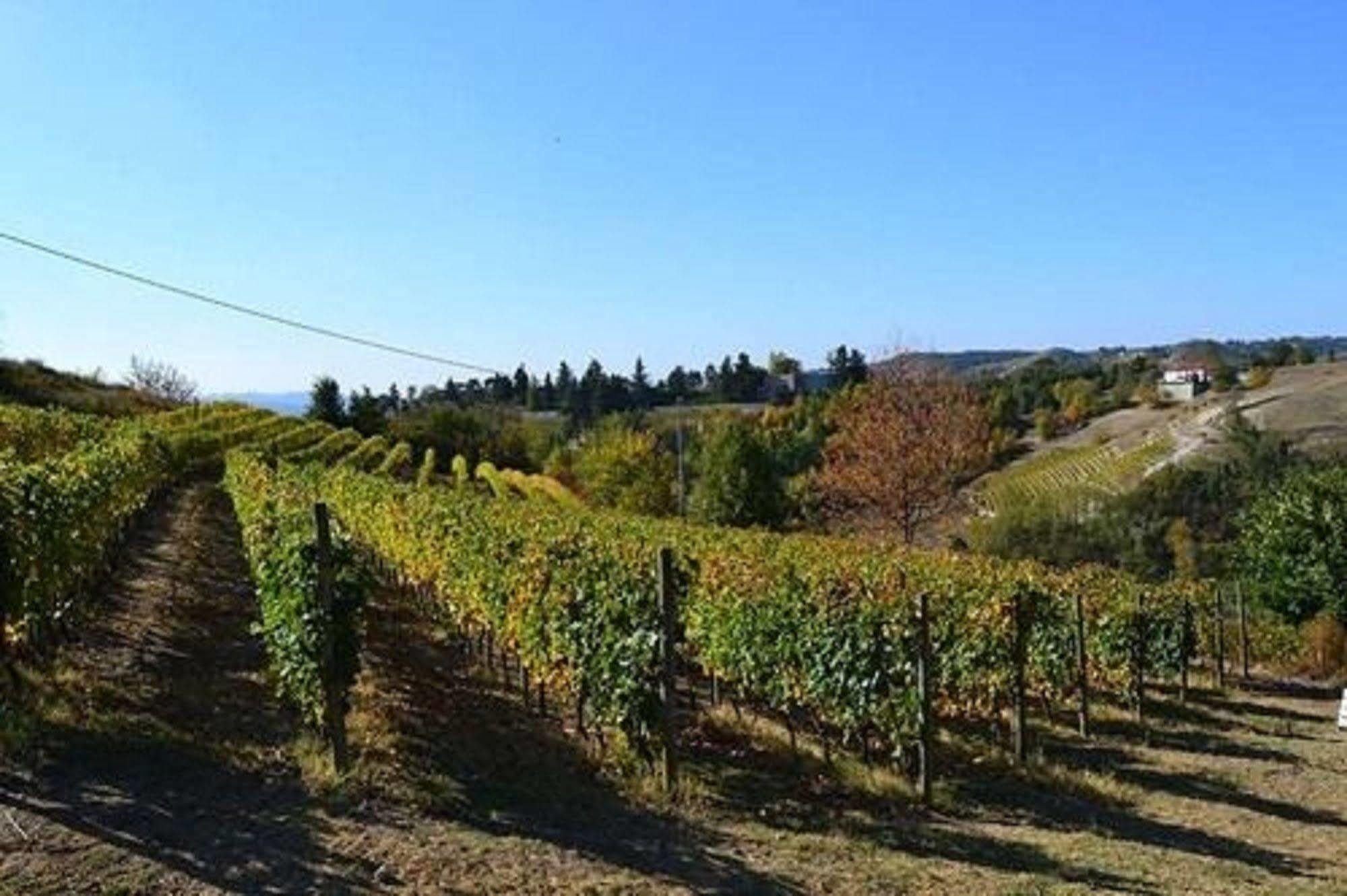Agriturismo Costa Dei Platani Акуи Терме Екстериор снимка
