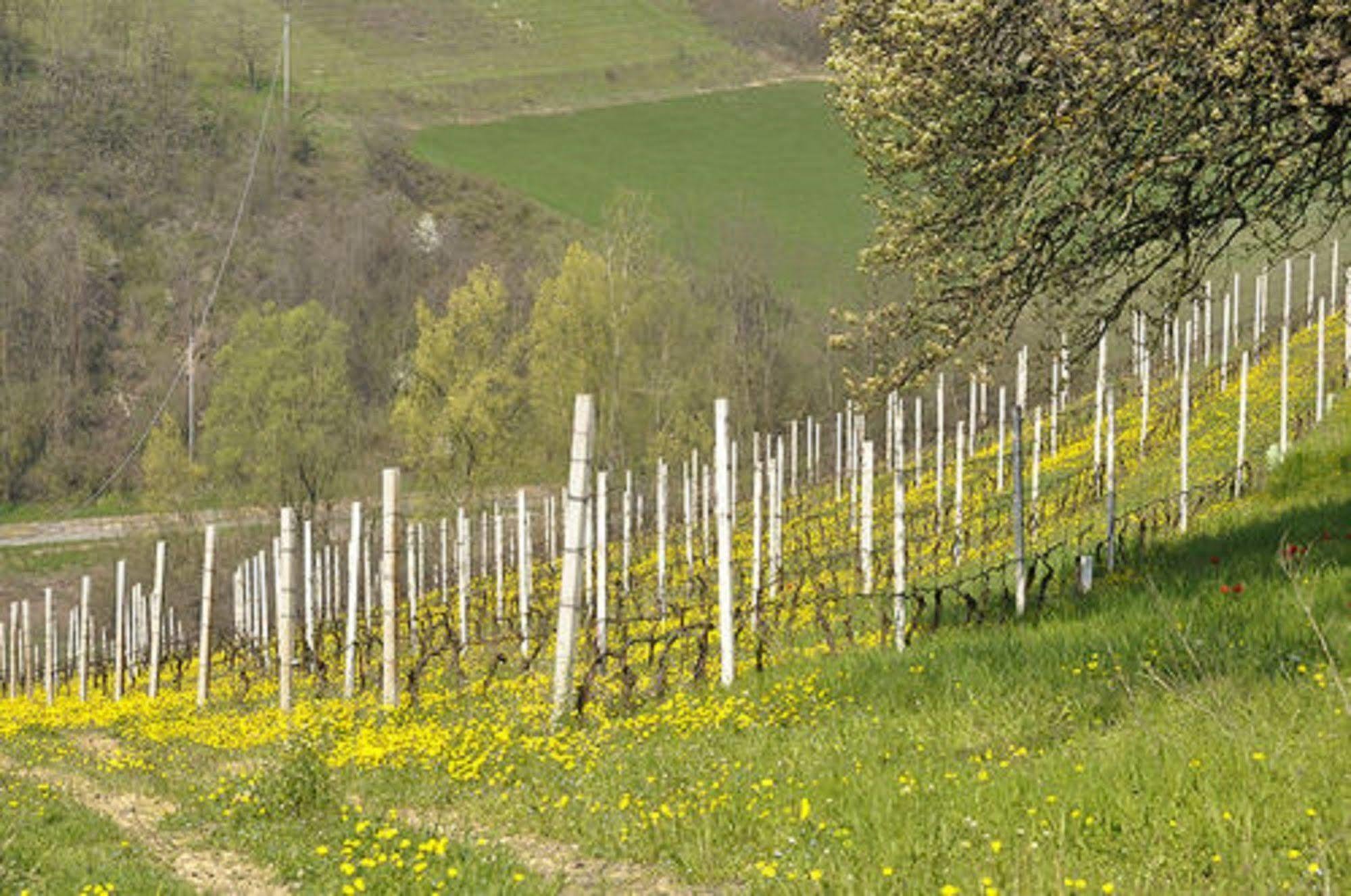 Agriturismo Costa Dei Platani Акуи Терме Екстериор снимка